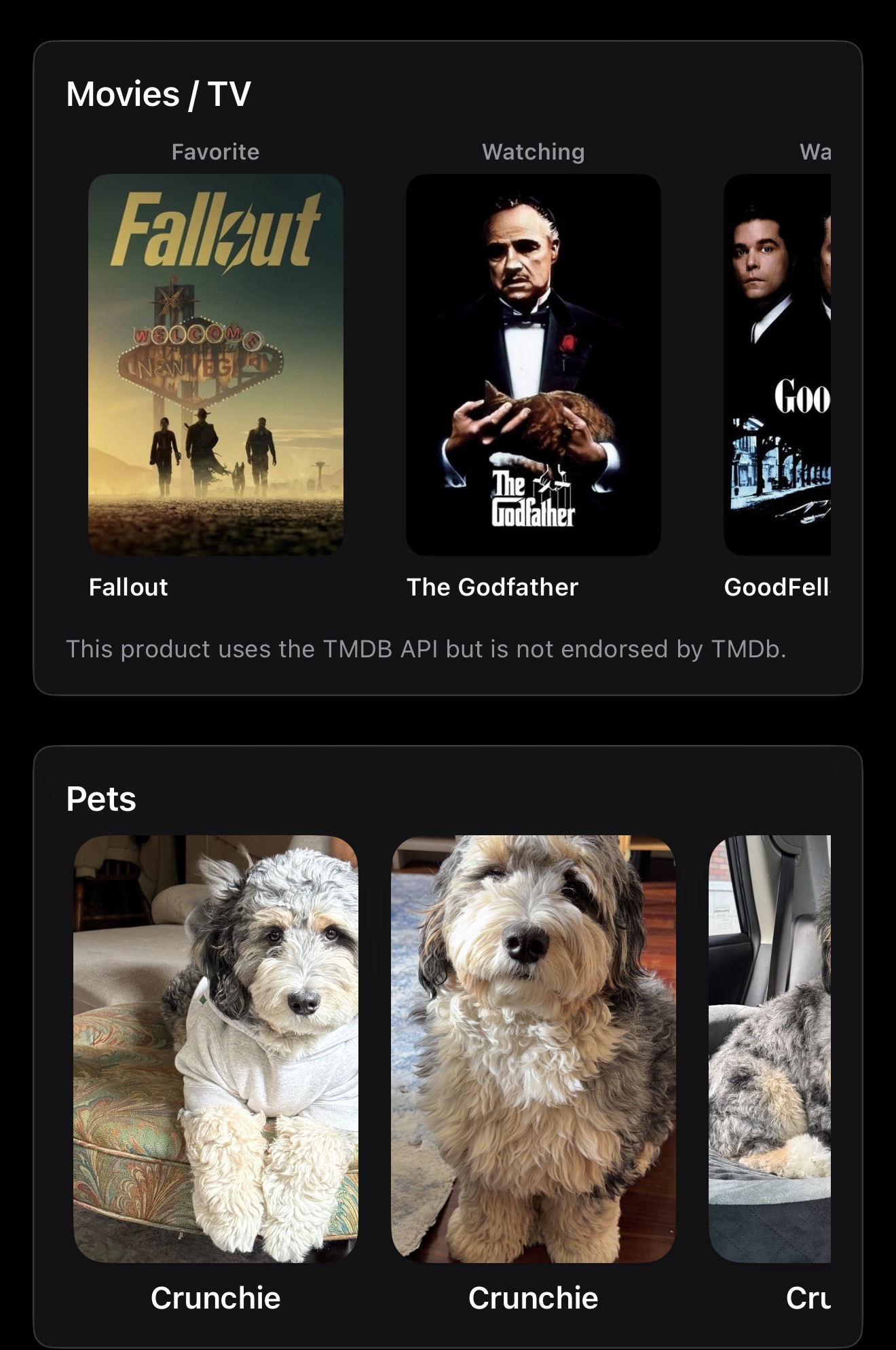 Apollo profile showing favorite movies, TV shows, and pet photos